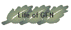 Life of GFN